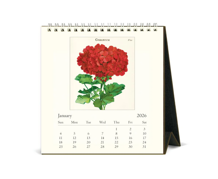 Cavallini 2026 Desk Calendar - Botanica