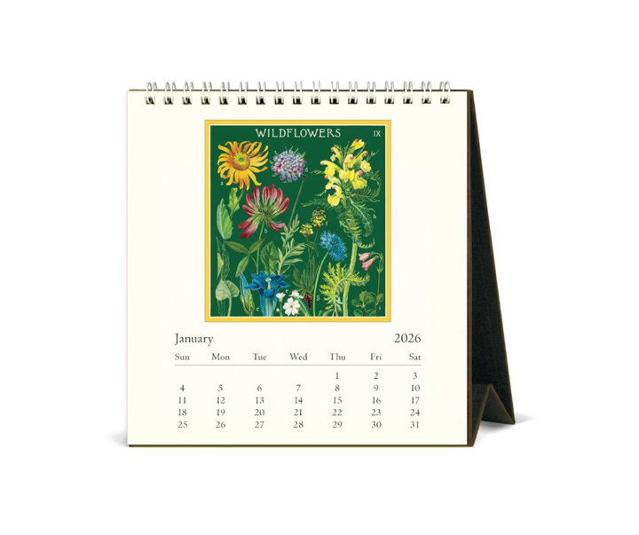 Cavallini 2026 Desk Calendar - Wildflowers