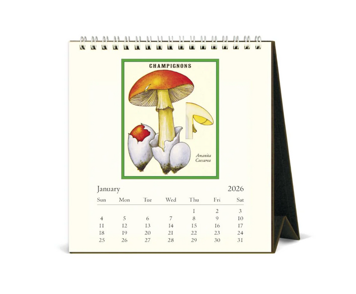 Cavallini 2026 Desk Calendar -Foraging
