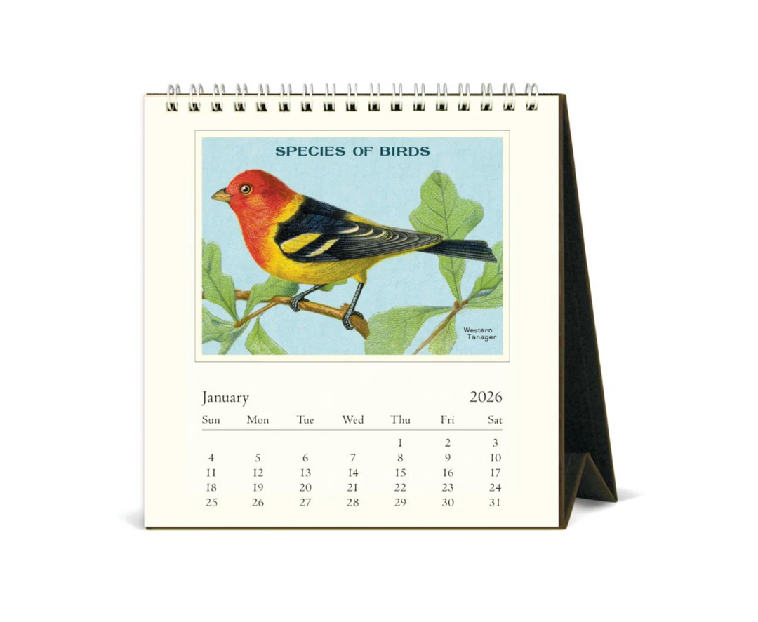Cavallini 2026 Desk Calendar - Birds
