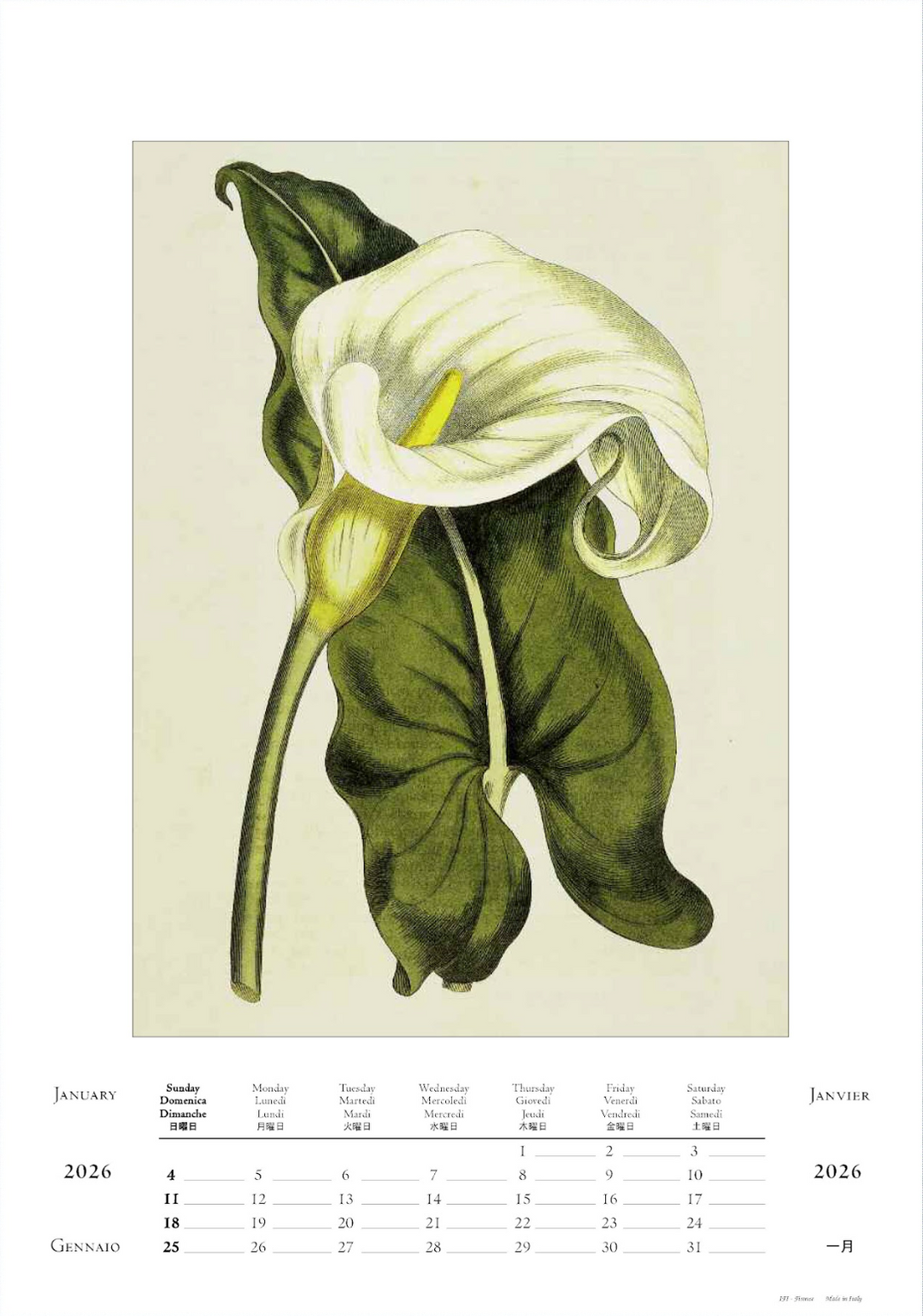 IFI 2026 Large Calendar - Botanica