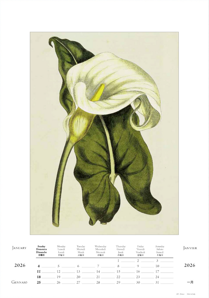 IFI 2026 Large Calendar - Botanica