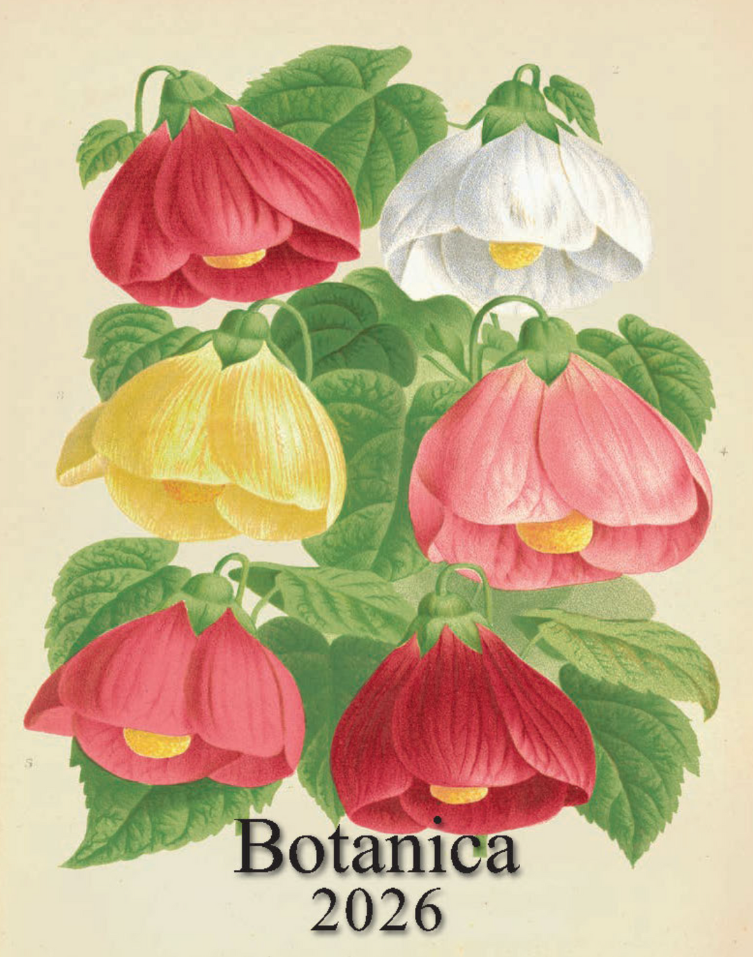IFI 2026 Desk Calendar - Botanica