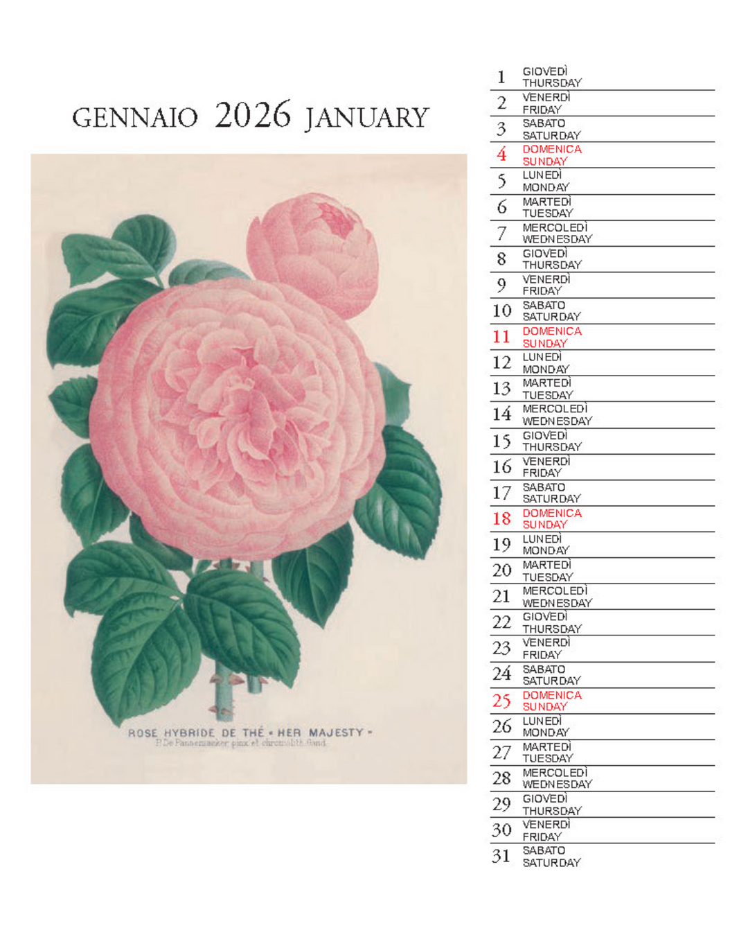 IFI 2026 Desk Calendar - Botanica