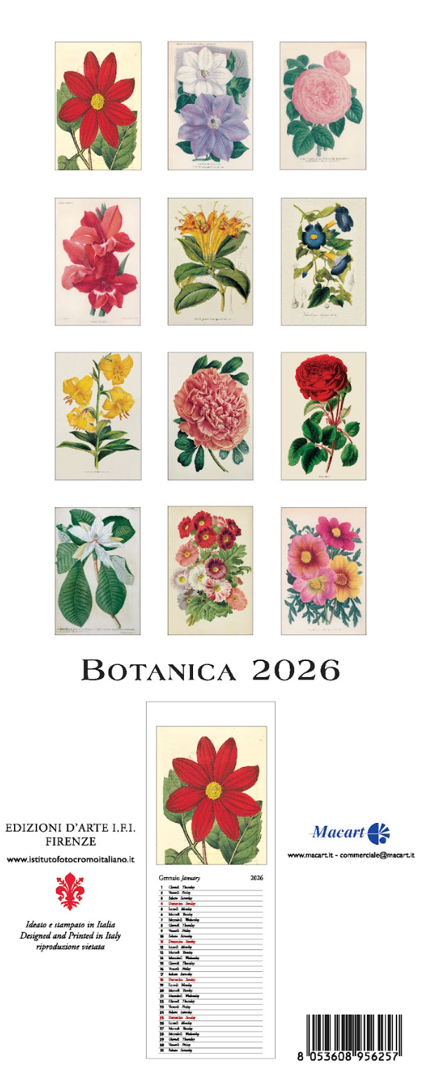 IFI 2026 Slim Calendar - Botanica