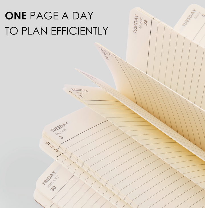 MyPaperclip 2026 Soft Cover A5 Daily Planner - Raspberry