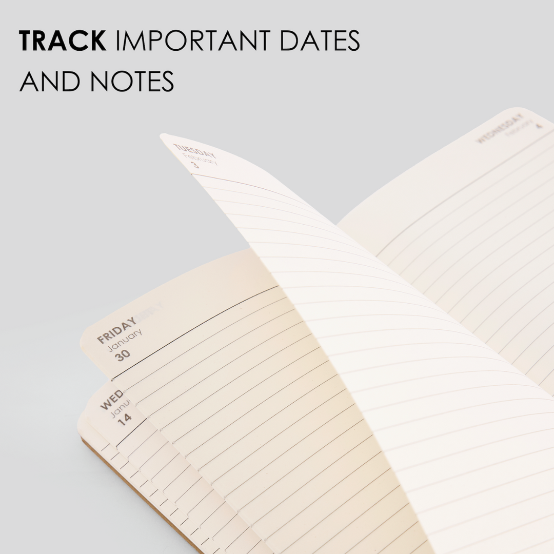 MyPaperclip 2026 Soft Cover A5 Daily Planner - Aubergine