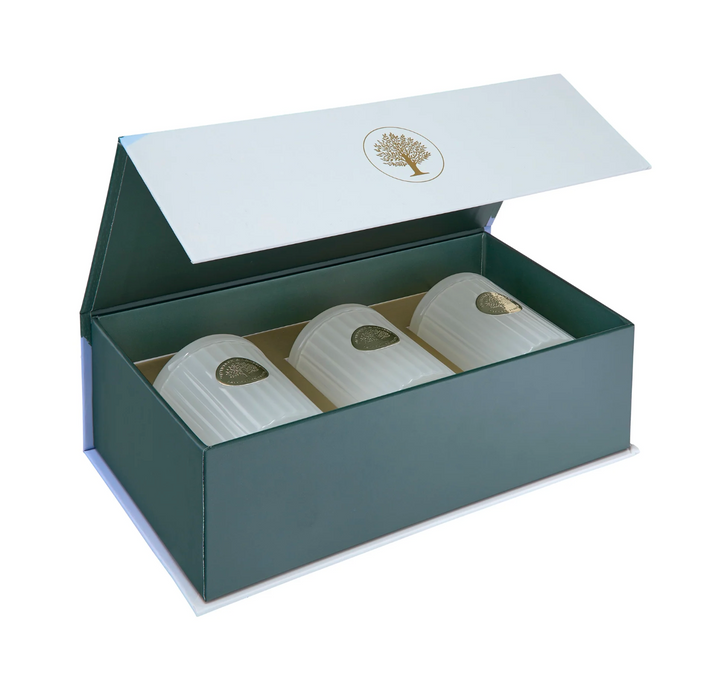 Mini Candle Trio Set - Fragrances of Christmas