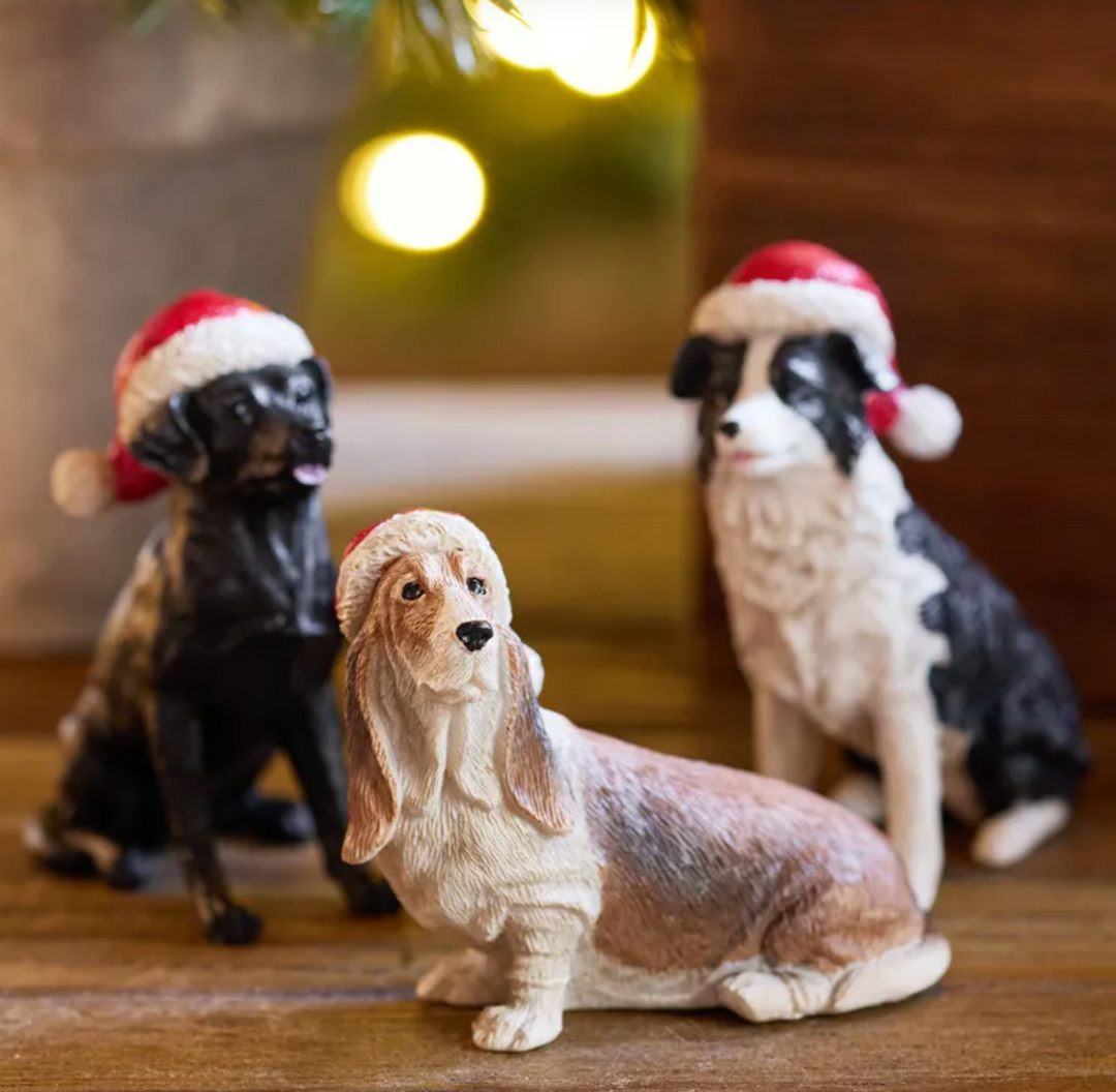 Hound with Santa Hat