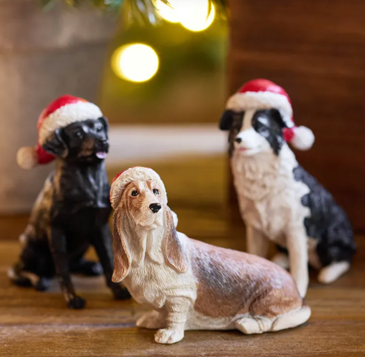 Hound with Santa Hat
