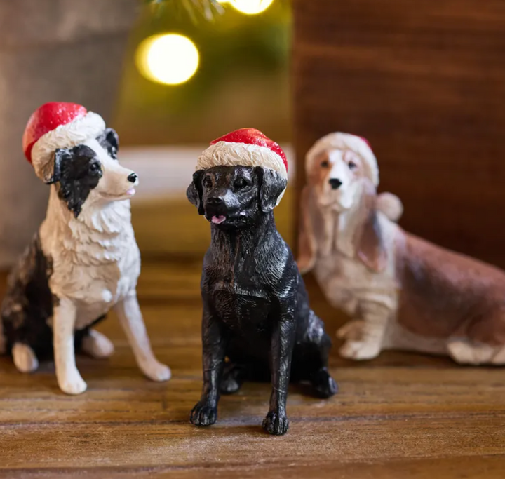 Black Dog with Santa Hat