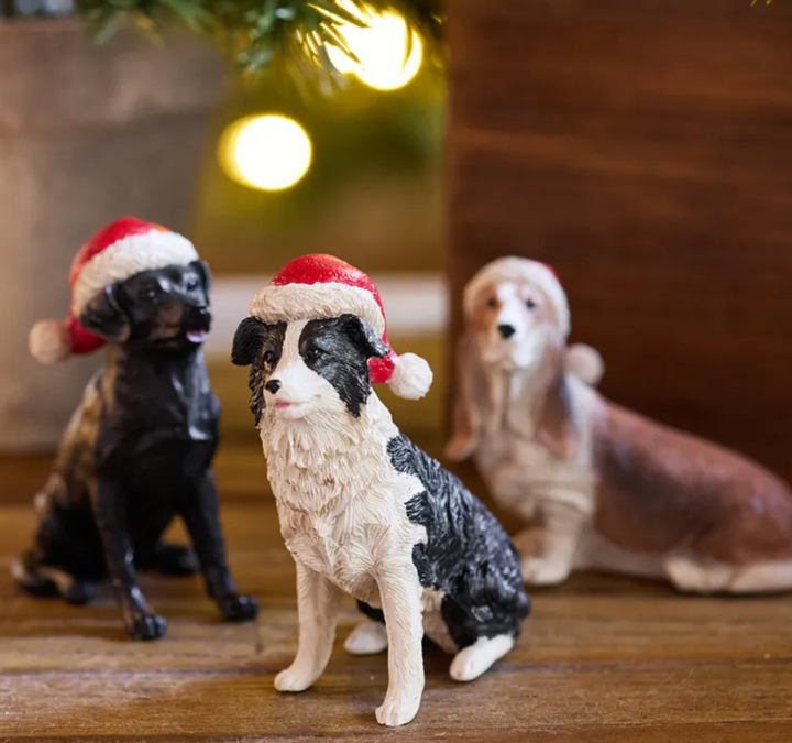 Sheep Dog with Santa Hat