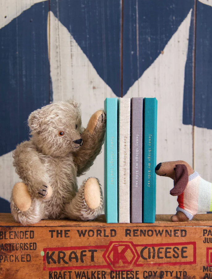 Journal - Funny Things My Kids Say