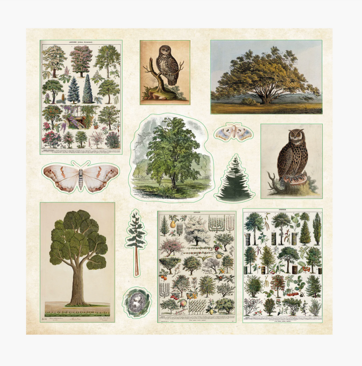 Sticker Book - Enchanted Forest