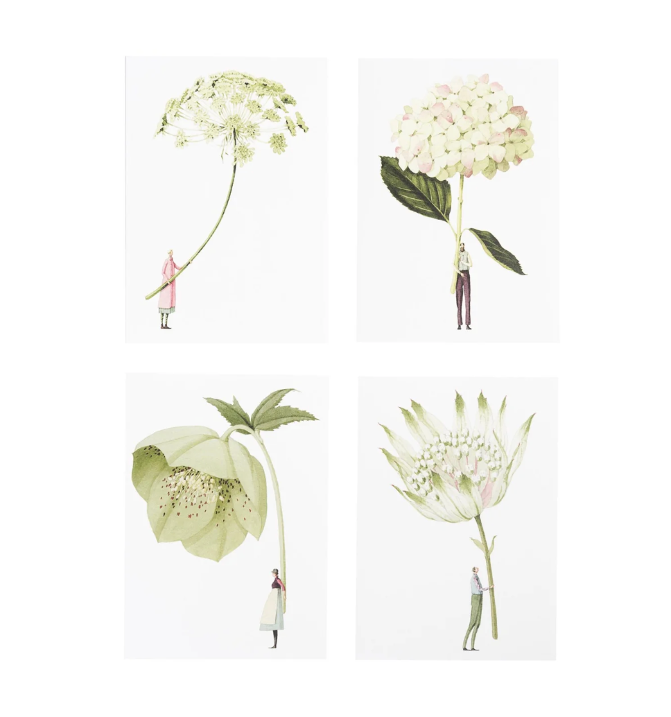 Laura Stoddart Note Cards & Envelope Set - In Bloom Green Flowers