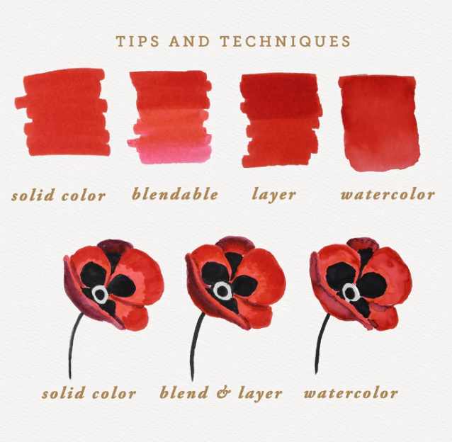Primrosia - Dual Tip Marker Pens and Sticker Sheet Woodland