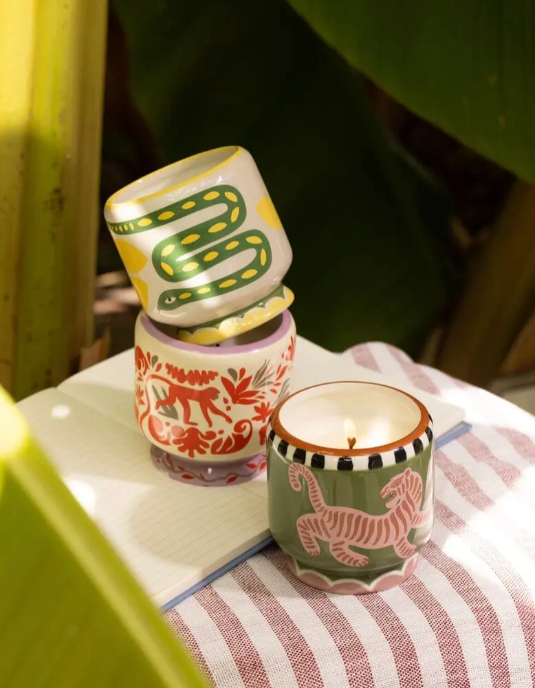 Paddywax 8oz Ceramic Candle Jungle - Coconut & Amber