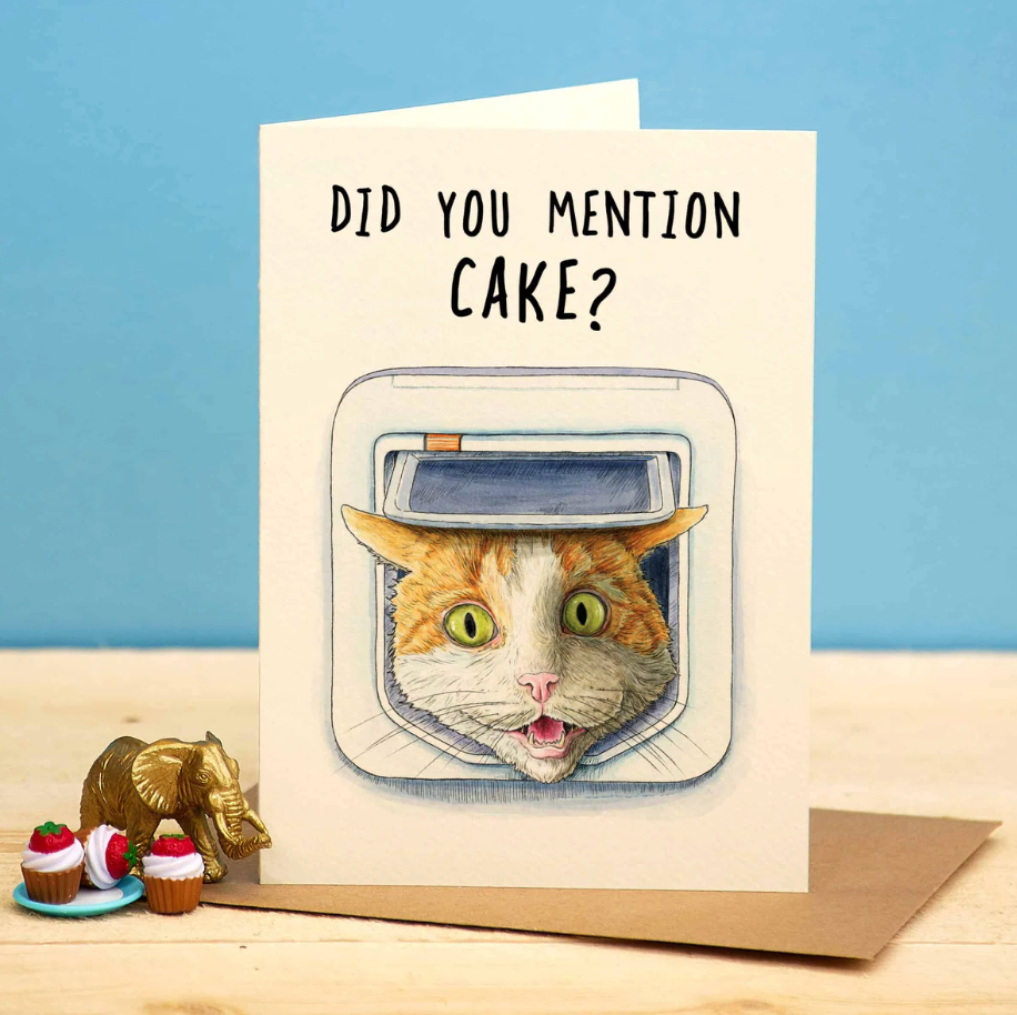Cat Flap Cake
