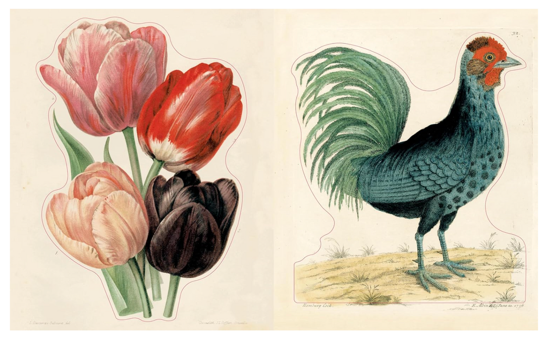John Derian Sticker Book II