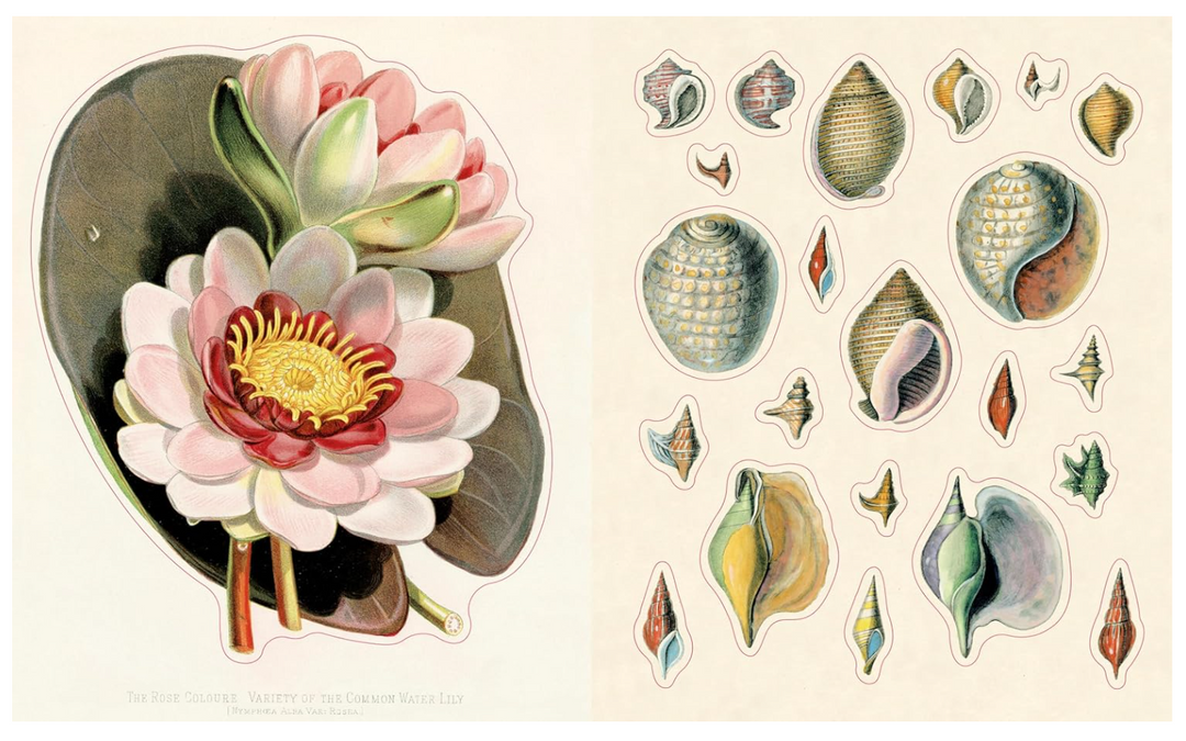 John Derian Sticker Book II