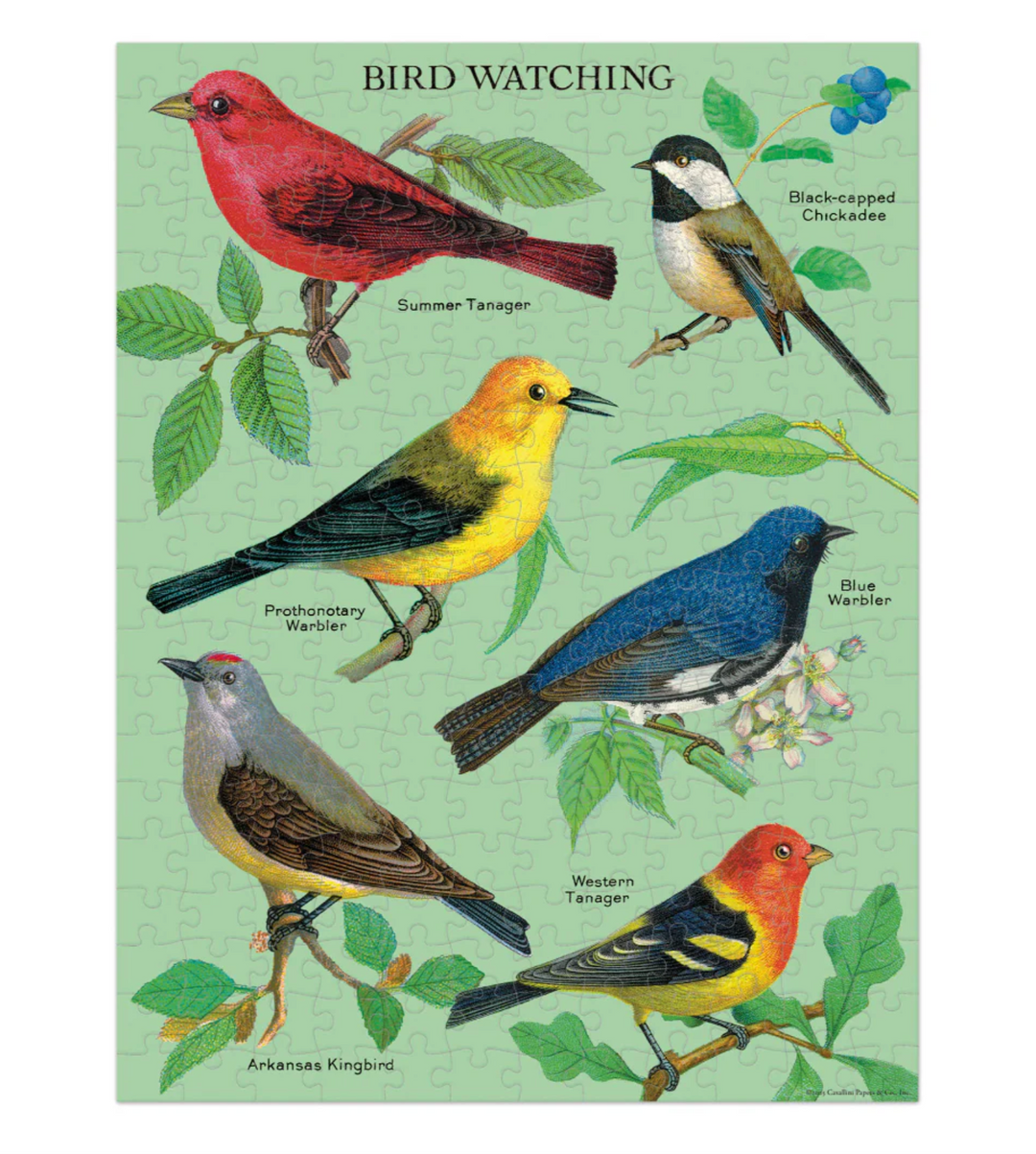 Cavallini & Co. 240 Mini Piece Puzzle - Bird Watching