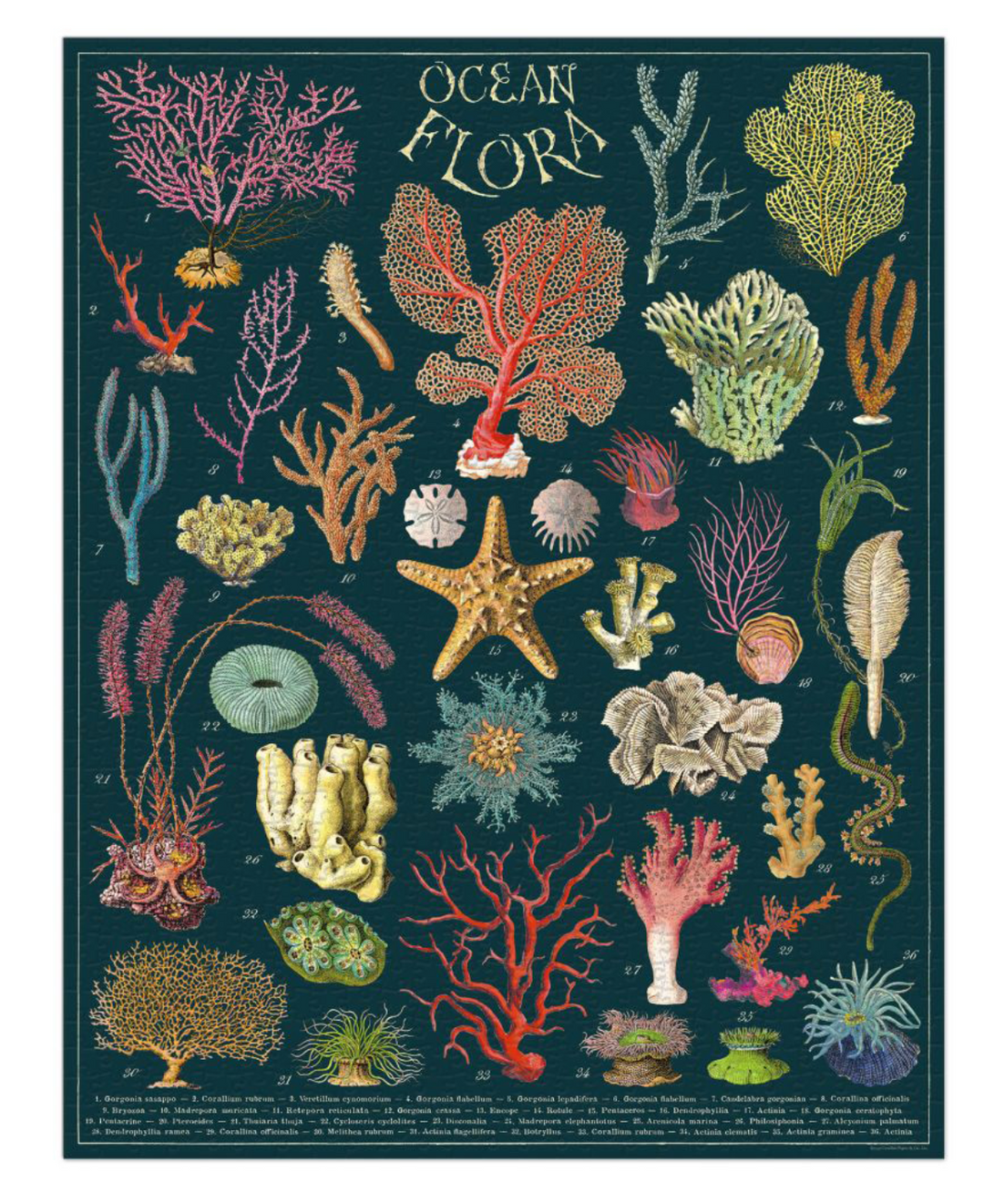Cavallini & Co. 1000 Piece Puzzle -  Ocean Flora