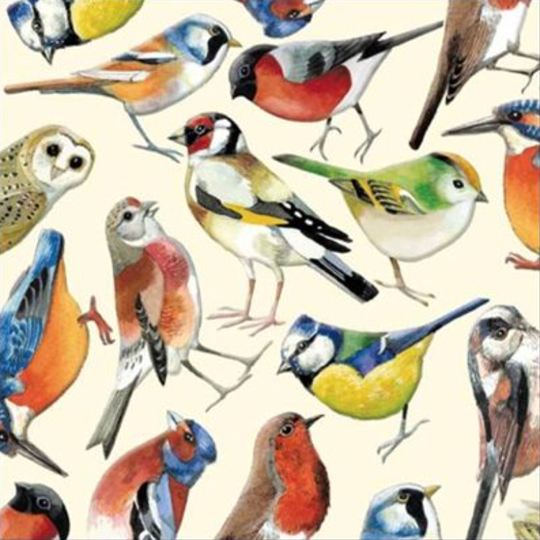 Emma Bridgewater Card - Birds