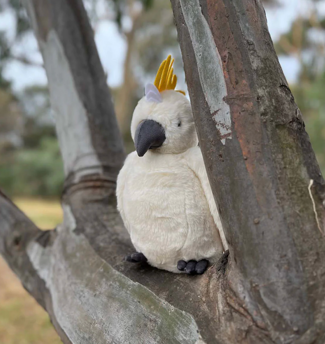 Furfolk - Cockatoo