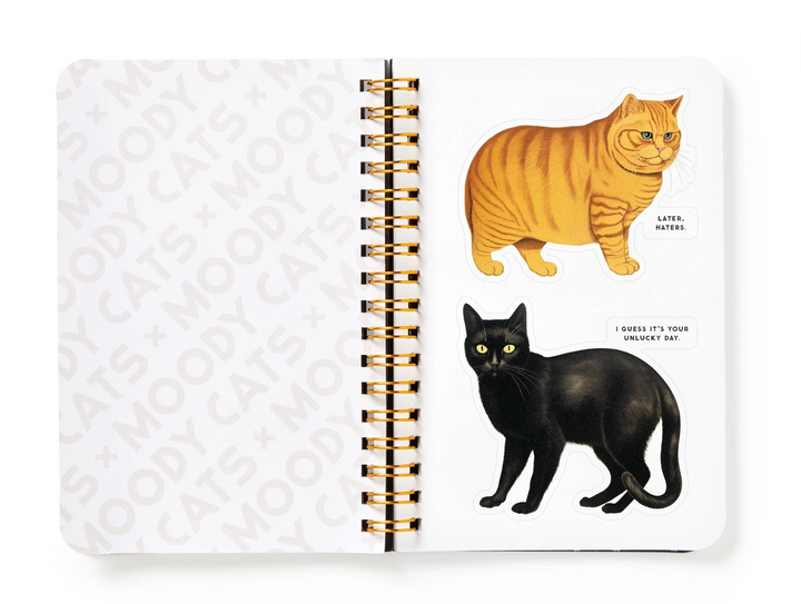 Sticker Book - Moody Cats