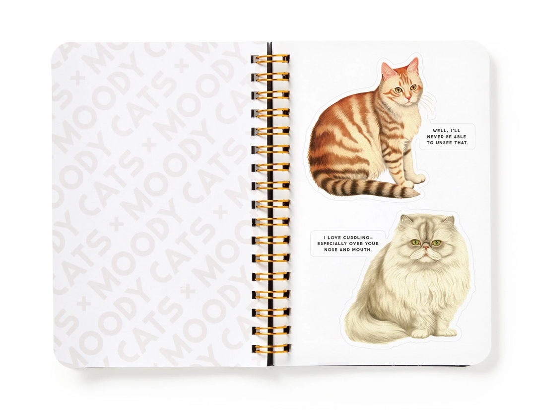 Sticker Book - Moody Cats