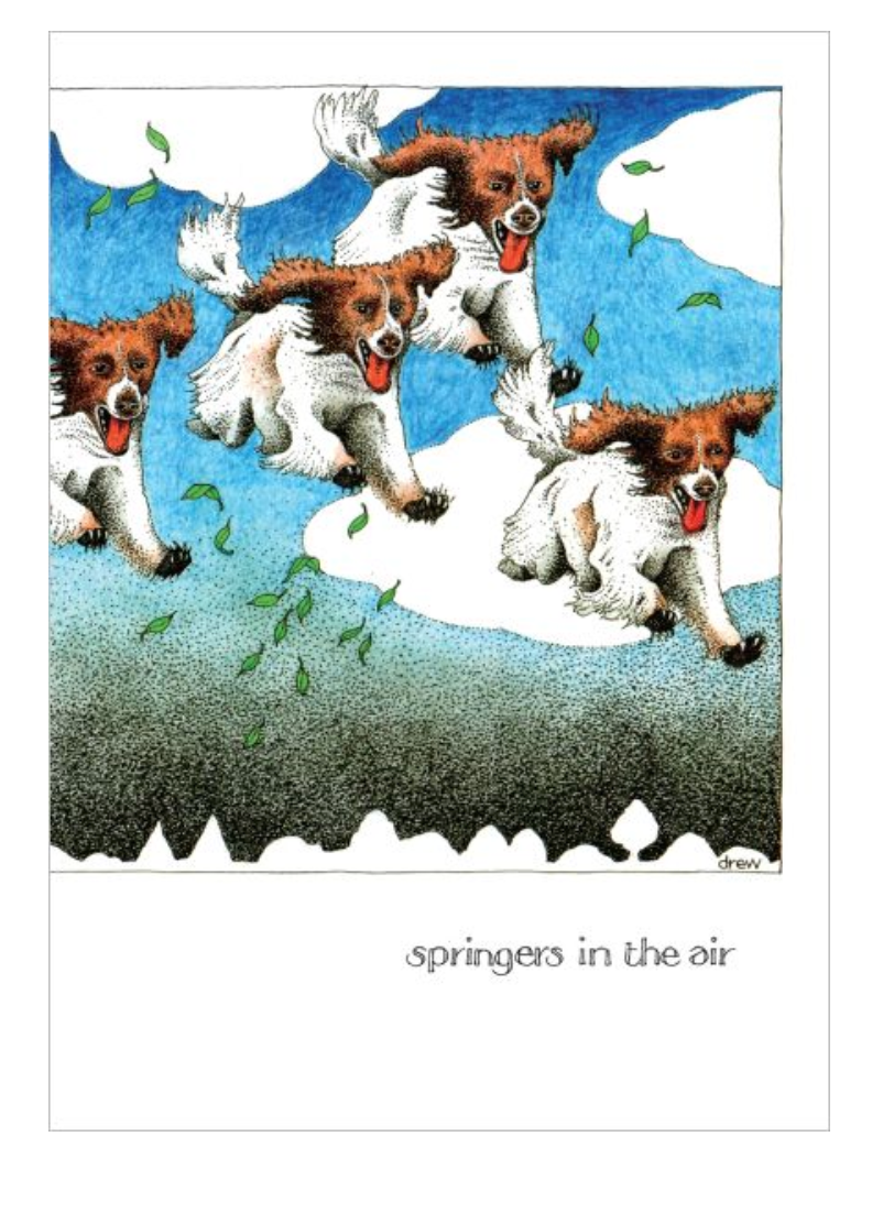 Simon Drew Card - Springers In The Air
