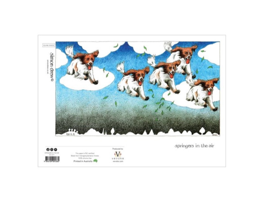 Simon Drew Card - Springers In The Air