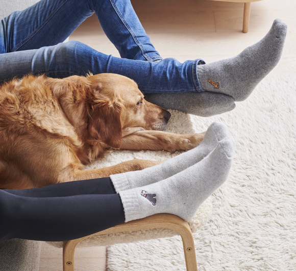 Sweet William Wool Socks - Staffie