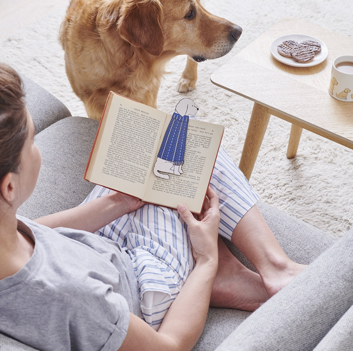 Sweet William Bookmark - Apricot Cockapoo