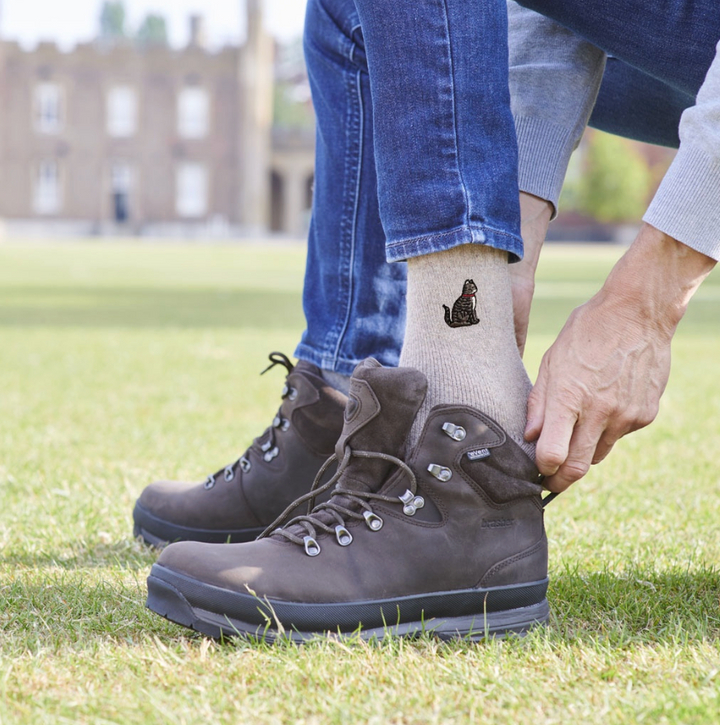 Sweet William Wool Socks - Tabby