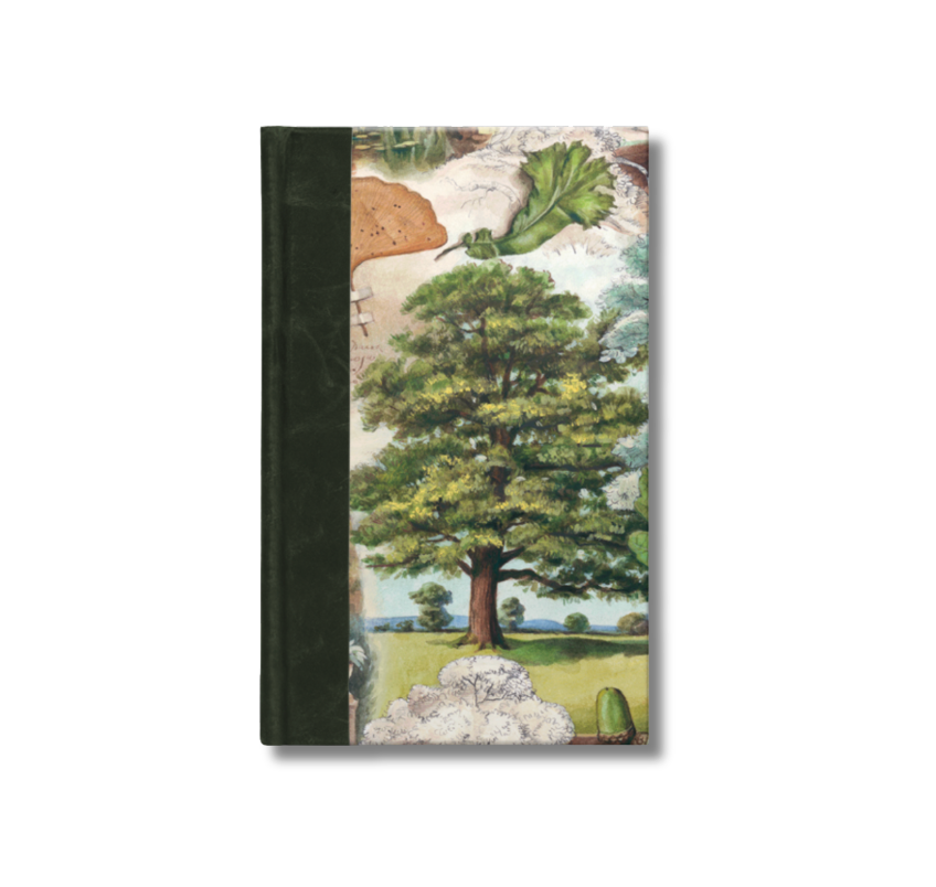 A5 Half-Leather Bound Sketchbook (Green) - The Mysterious Life of Trees