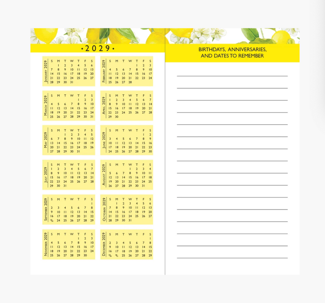 Peter Pauper Press 2027-28 2 Year Pocket Planner - Amalfi Lemons