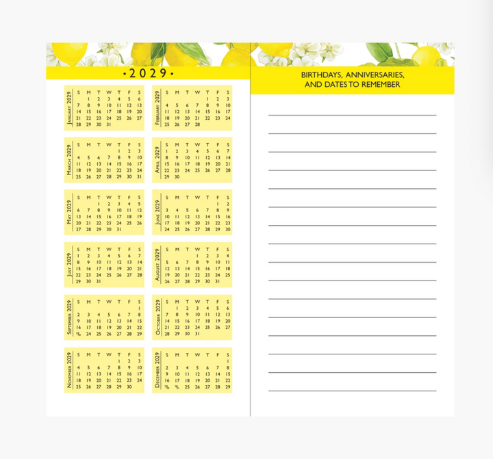 Peter Pauper Press 2027-28 2 Year Pocket Planner - Amalfi Lemons