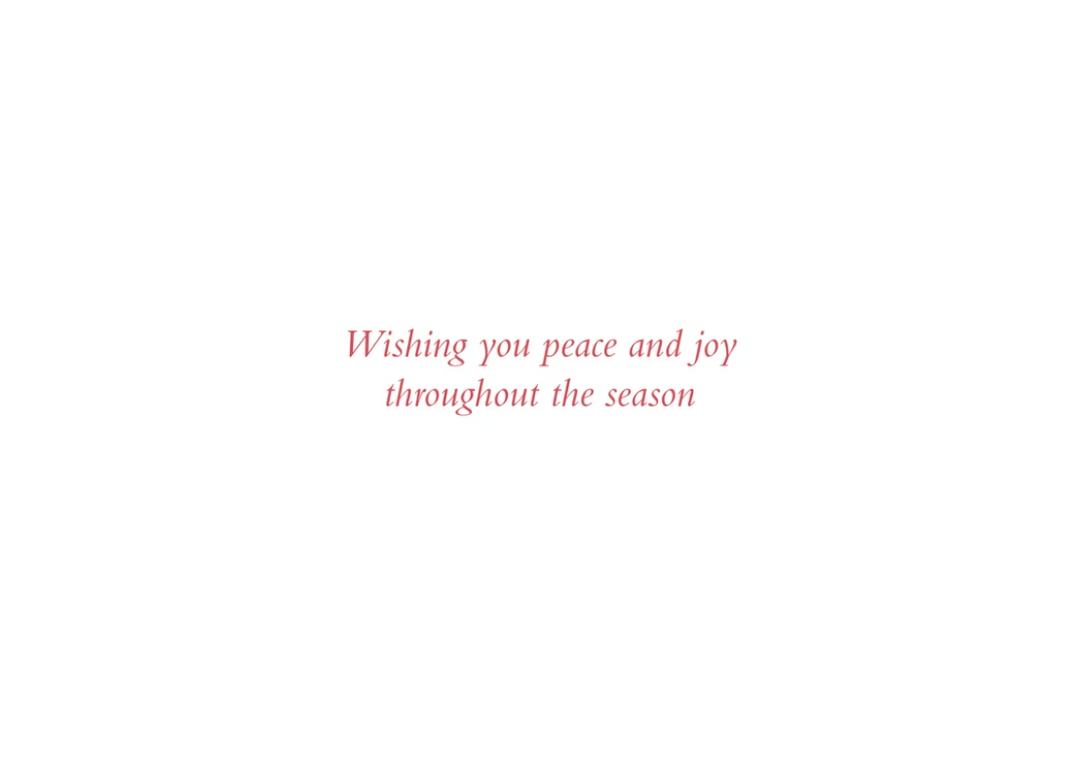 Deluxe Boxed Christmas Cards - Snowy Sleigh Ride
