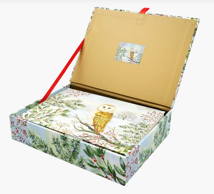 Deluxe Boxed Christmas Cards - Barn Owl In Winter