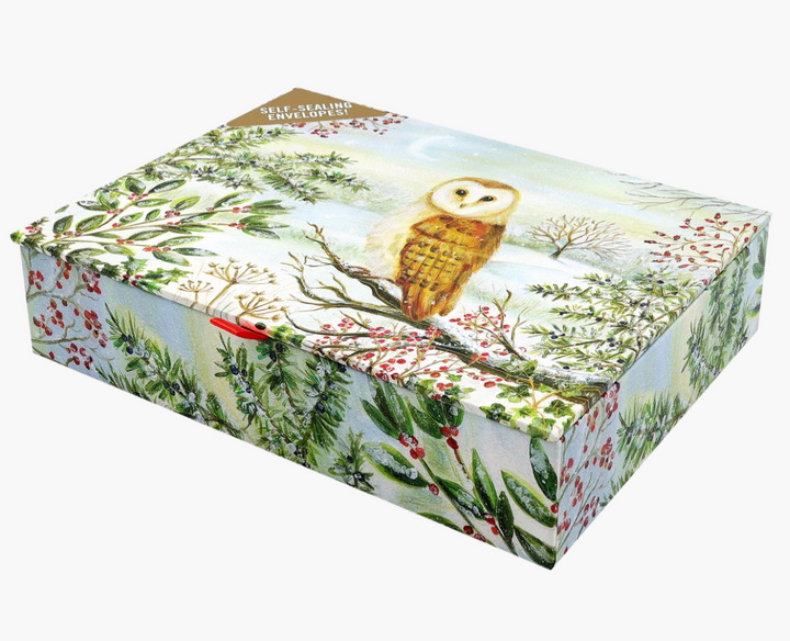 Deluxe Boxed Christmas Cards - Barn Owl In Winter