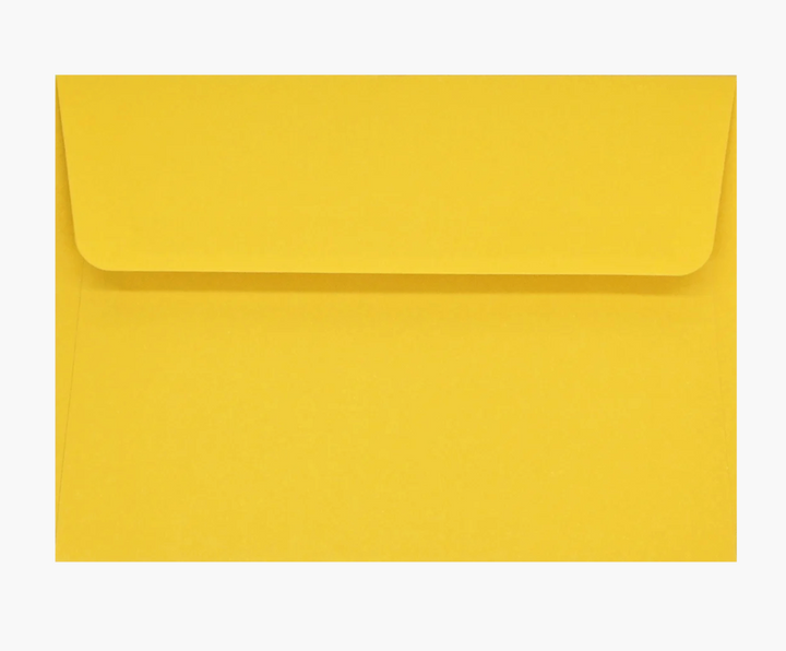 Boxed Everyday Note Cards - Sunflower Dreams