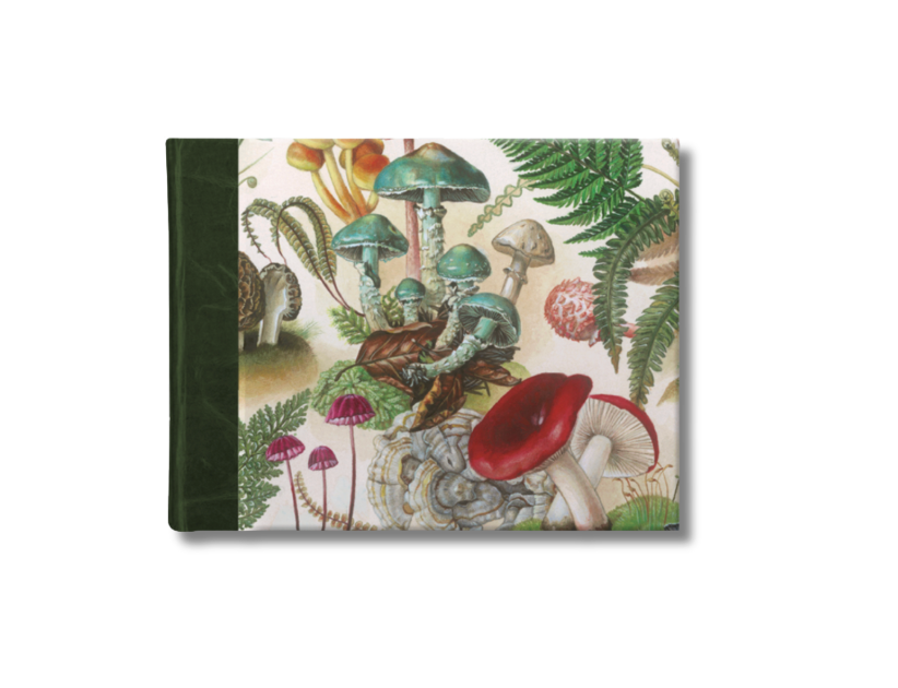 A5 Half-Leather Bound Sketchbook (Green) - Magical World of Fungi