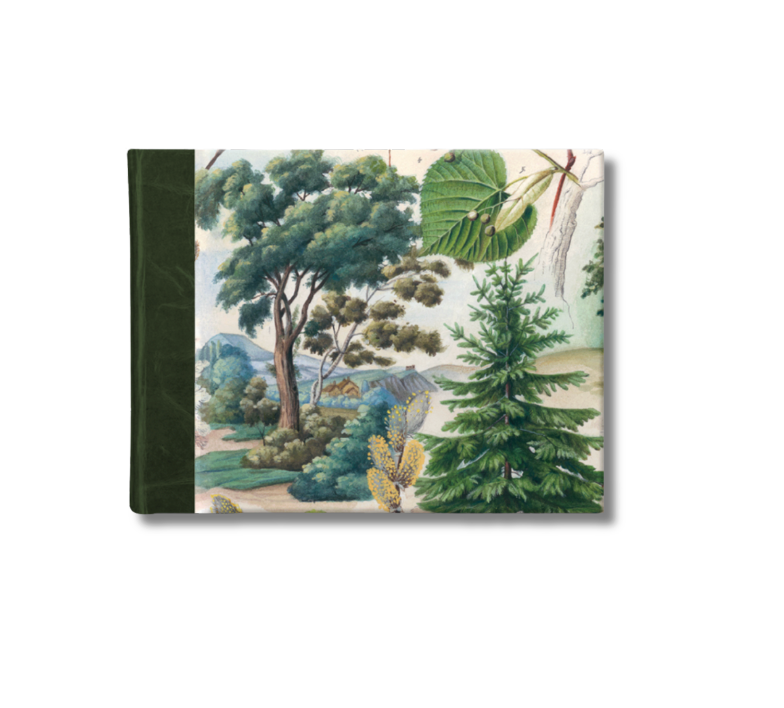 A5 Half-Leather Bound Sketchbook (Green) - The Mysterious Life of Trees