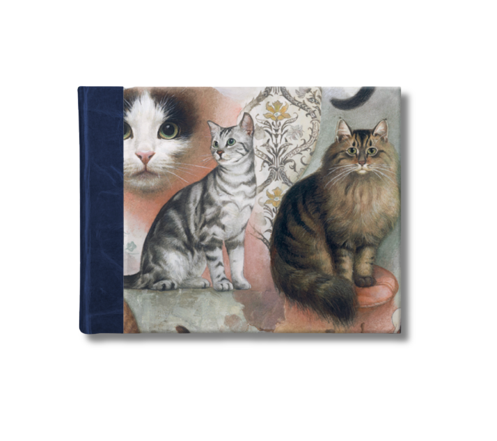 A5 Half-Leather Bound Sketchbook (Blue) - The Nine Lives of Cats