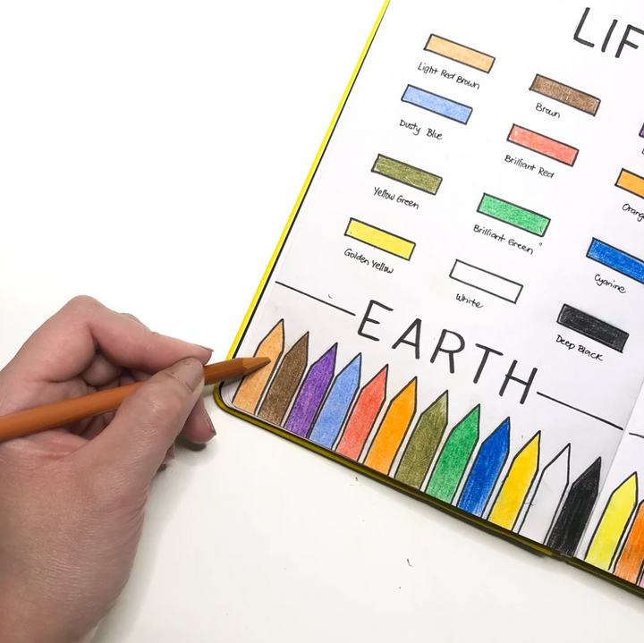 Life of Colour Pastel Pencils - Set of 12 - Earth Colour