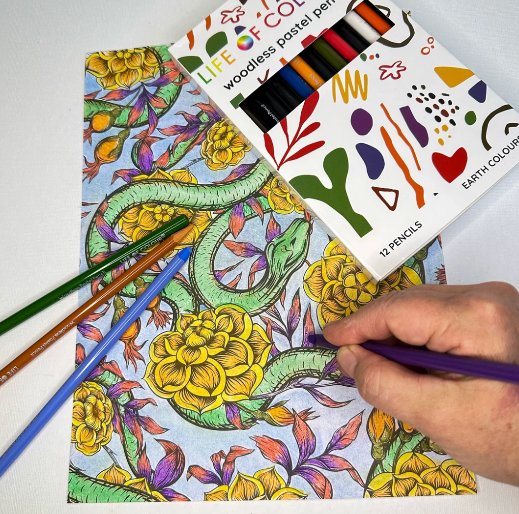 Life of Colour Pastel Pencils - Set of 12 - Earth Colour