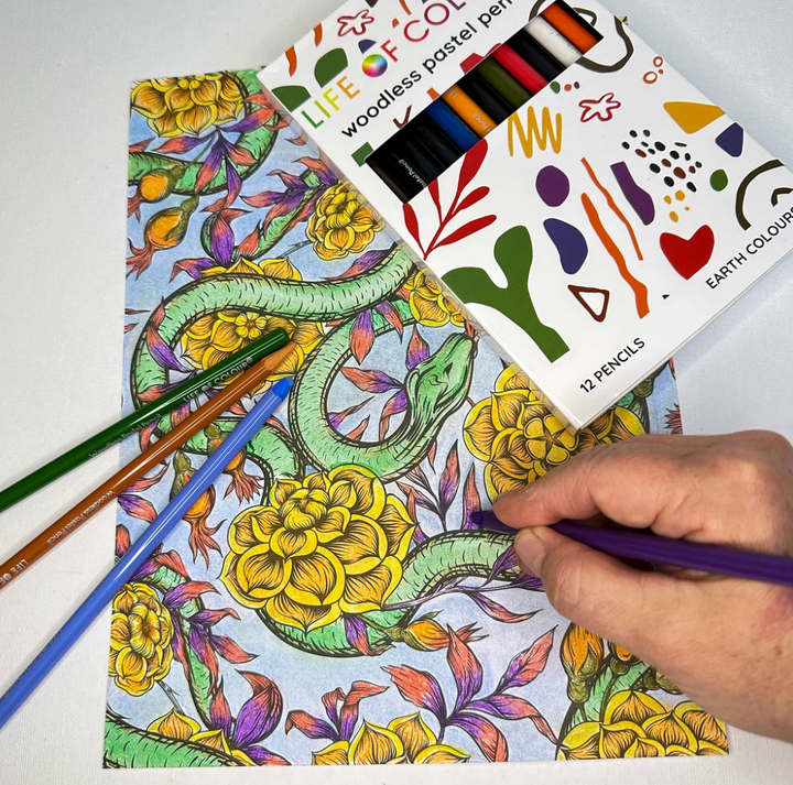 Life of Colour Pastel Pencils - Set of 12 - Earth Colour