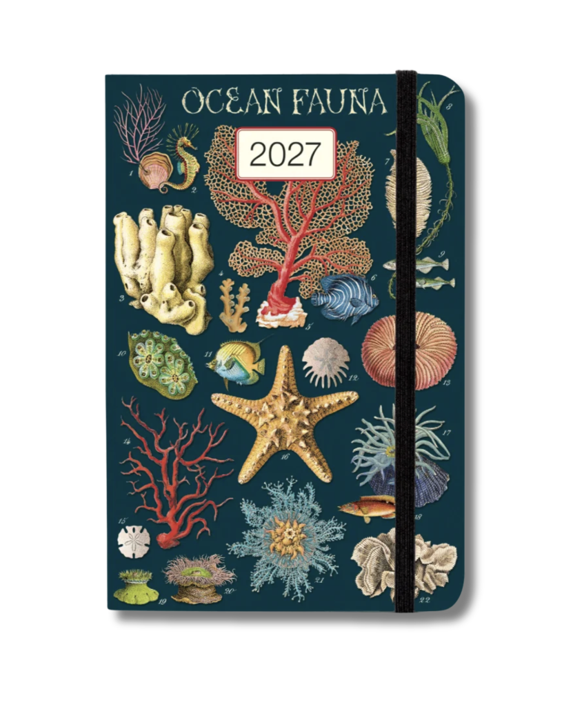 Cavallini 2027 Weekly Planner - Ocean Fauna