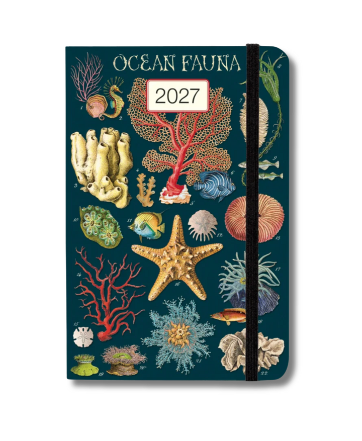 Cavallini 2027 Weekly Planner - Ocean Fauna
